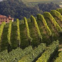 Tours & Sightseeing