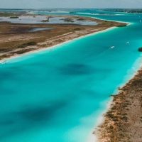 Boat Tours