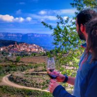 Day Trips & Excursions