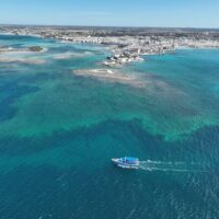 Boat Tours