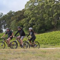 Bike & Mountain Bike Tours