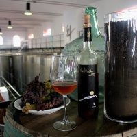 Food, Wine & Nightlife