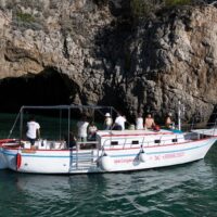 Day Trips & Excursions