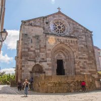 Half-day Tours