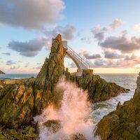 Bus & Minivan Tours