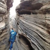 Shore Excursions