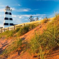 Private Sightseeing Tours