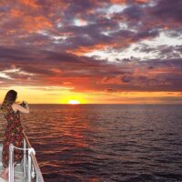 Dolphin & Whale Watching
