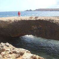 Private & Custom Tours