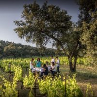 Private & Custom Tours