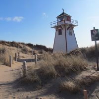 Shore Excursions