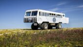 Buggy tour