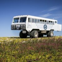Holiday & Seasonal Tours