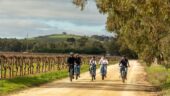 Bike tour