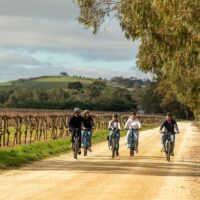 Wine Tasting & Winery Tours