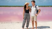 Stunning pink lake and beautiful flamingoes during the boat ride