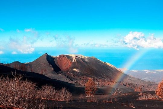 Valentine's Day in La Palma