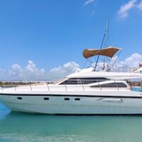 Lunch Cruises