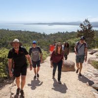 Walking Tours