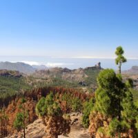 Hiking & Camping