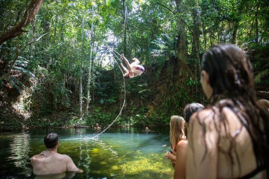 New Year’s Day long weekend in Cape Tribulation