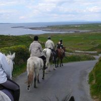 Horseback Riding
