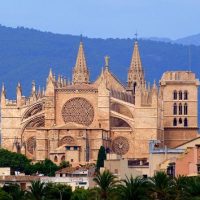 Half-day Tours