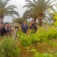 Wine Tasting & Winery Tours