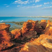 Bus & Minivan Tours