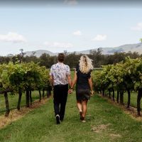 Plantation Tours