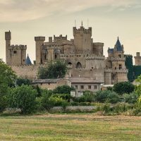 Half-day Tours