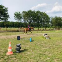Horseback Riding