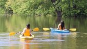 Kayak around Petrie Island with guide