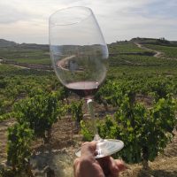 Wine Tasting & Winery Tours