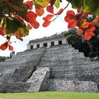Half-day Tours
