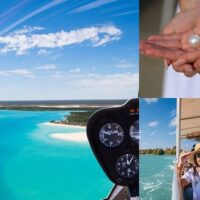 Half-day Tours