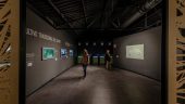 Olive tree interpretation center with very good audiovisual presentations and oil tasting