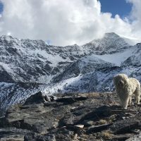 Day Trips & Excursions