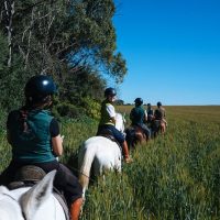 Horseback Riding