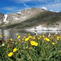 Layover Tours
