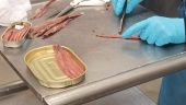 Anchovies, made by hard handwork.