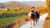 Beautiful ride, well cared for horses