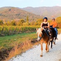 Horseback Riding