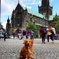 Walking Tours