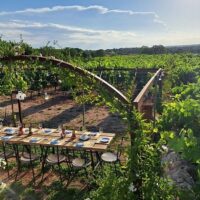 Food, Wine & Nightlife