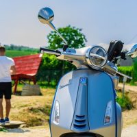Shore Excursions