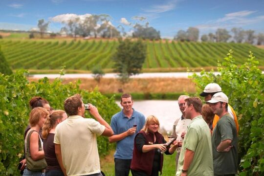 New Year’s Day long weekend in Yarra Valley