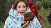A gold-star truffle experience