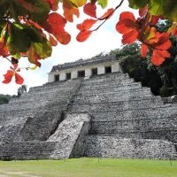 Cultural & Theme Tours