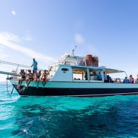 Snorkeling
